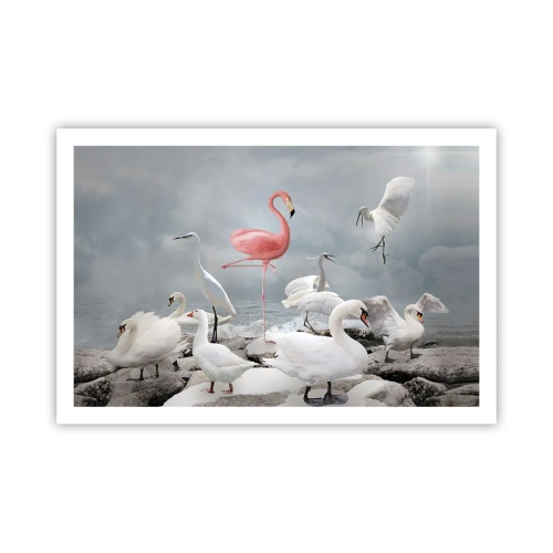 Plakat - Hvor kommer jeg fra? - 91x61 cm