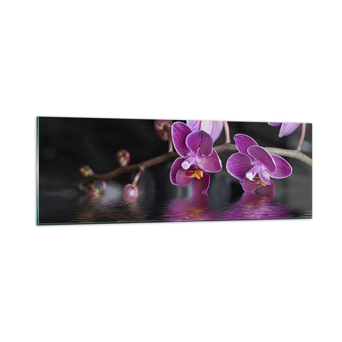 Billede på glas - En lilla afspejling af skønhed - 90x30 cm