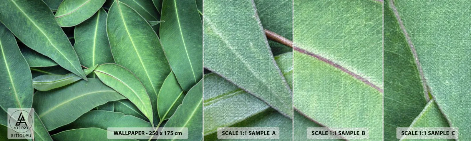 Prøve Fototapet Premium Canvas - Saftig og frisk - Blade, Eukalyptus, Natur - 100x30 cm