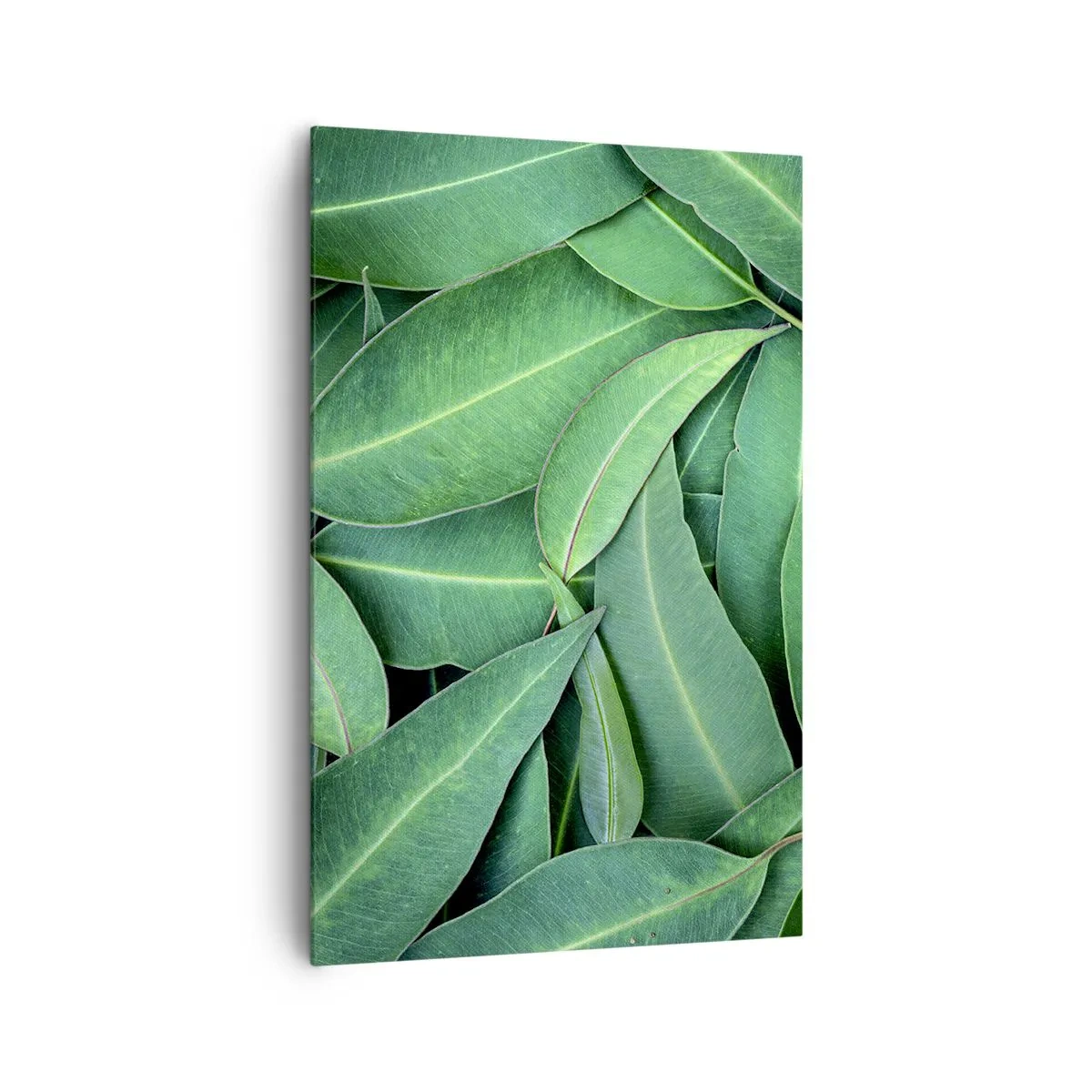 Lærredstryk - Billede på lærred - Saftig og frisk - 80x120 cm