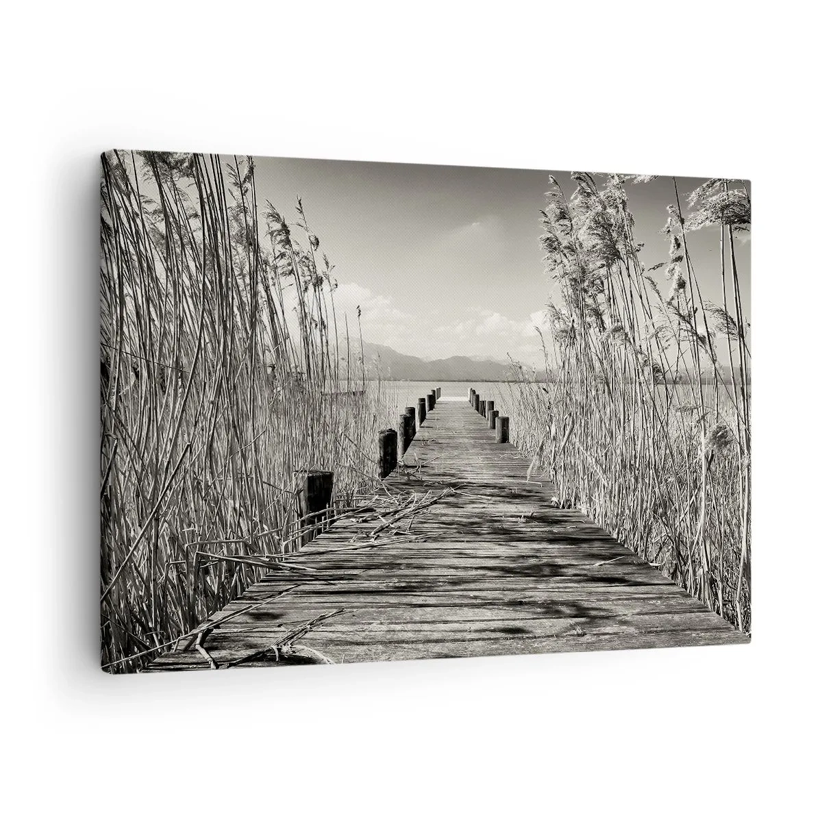 Lærredstryk - Billede på lærred - En træbro blandt høje græsser over en sepia-tonet sø - 70x50cm - I græssernes fred - Moderne vægdekoration til stue og soveværelse ARTTOR