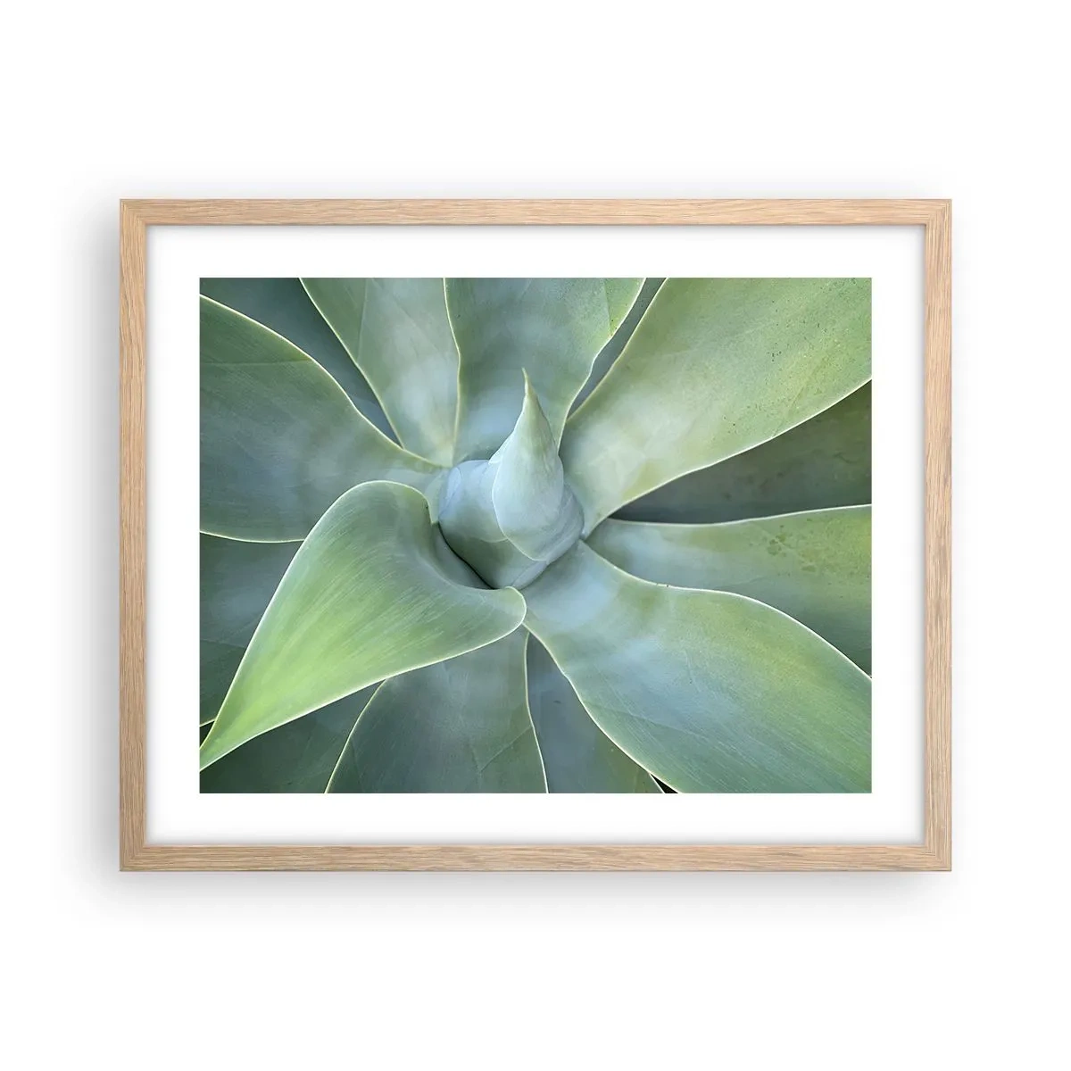 Plakat i ramme af lyst egetræ - Den grønne fødsel - 50x40 cm