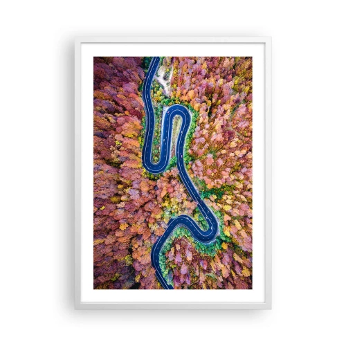 Plakat i hvid ramme - En snoet vej gennem skoven - 50x70 cm