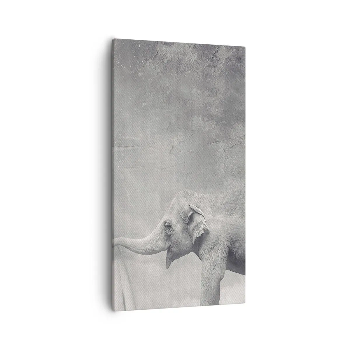 Lærredstryk - Billede på lærred - Afslør hemmeligheden - 55x100 cm