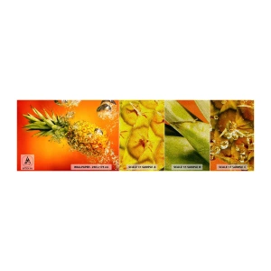 Prøve Fototapet Premium Sand - Tropisk saftig friskhed - Frugt, Ananas, Vand - 100x30 cm