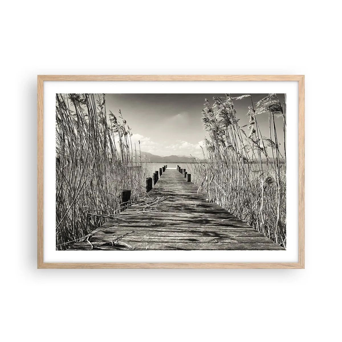 Plakat i ramme af lyst egetræ - I græssernes fred - 70x50 cm