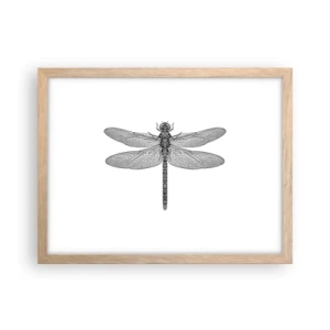 Plakat i ramme af lyst egetræ - Præcision i naturen - 40x30 cm