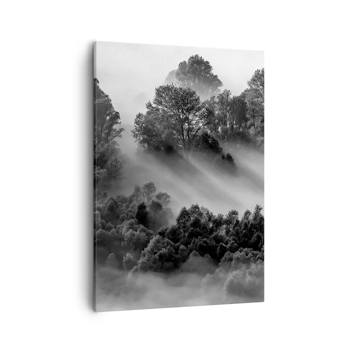 Lærredstryk - Billede på lærred - At vågne fra søvnen - 50x70 cm