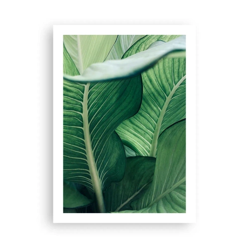 Plakat - Livet er intenst grønt - 50x70 cm