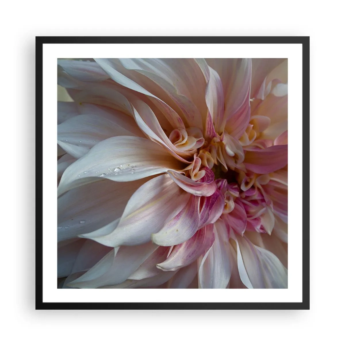 Plakat i sort ramme - Blomstrende friskhed - 60x60 cm
