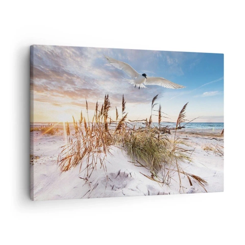 Lærredstryk - Billede på lærred - Strand med flyvende måger ved solnedgang - 70x50cm - Vind fra havet - Moderne vægdekoration til stue og soveværelse ARTTOR