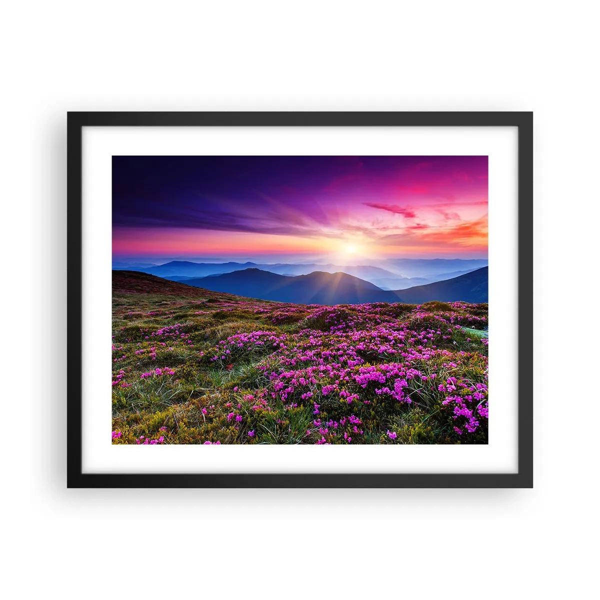 Plakat i sort ramme - Urter duftede friske bundter fra niw - 50x40 cm
