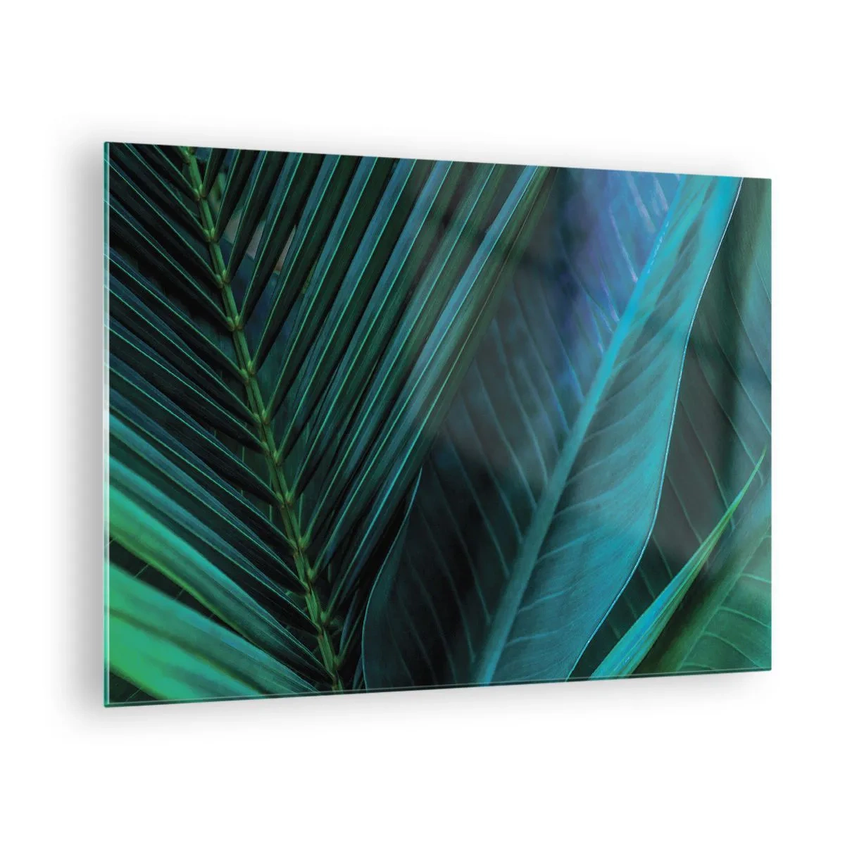 Billede på glas - Mørkegrønne tropiske bladdetaljer - 70x50cm - Anatomi af en grøn - Moderne vægdekoration til stue og soveværelse ARTTOR