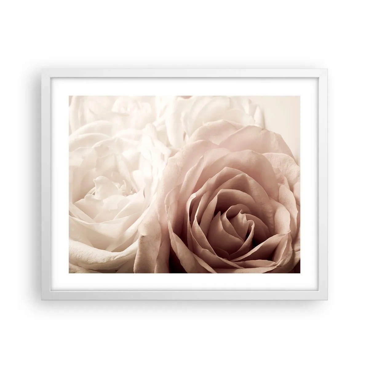 Plakat i hvid ramme - I rosens hjerte - 50x40 cm