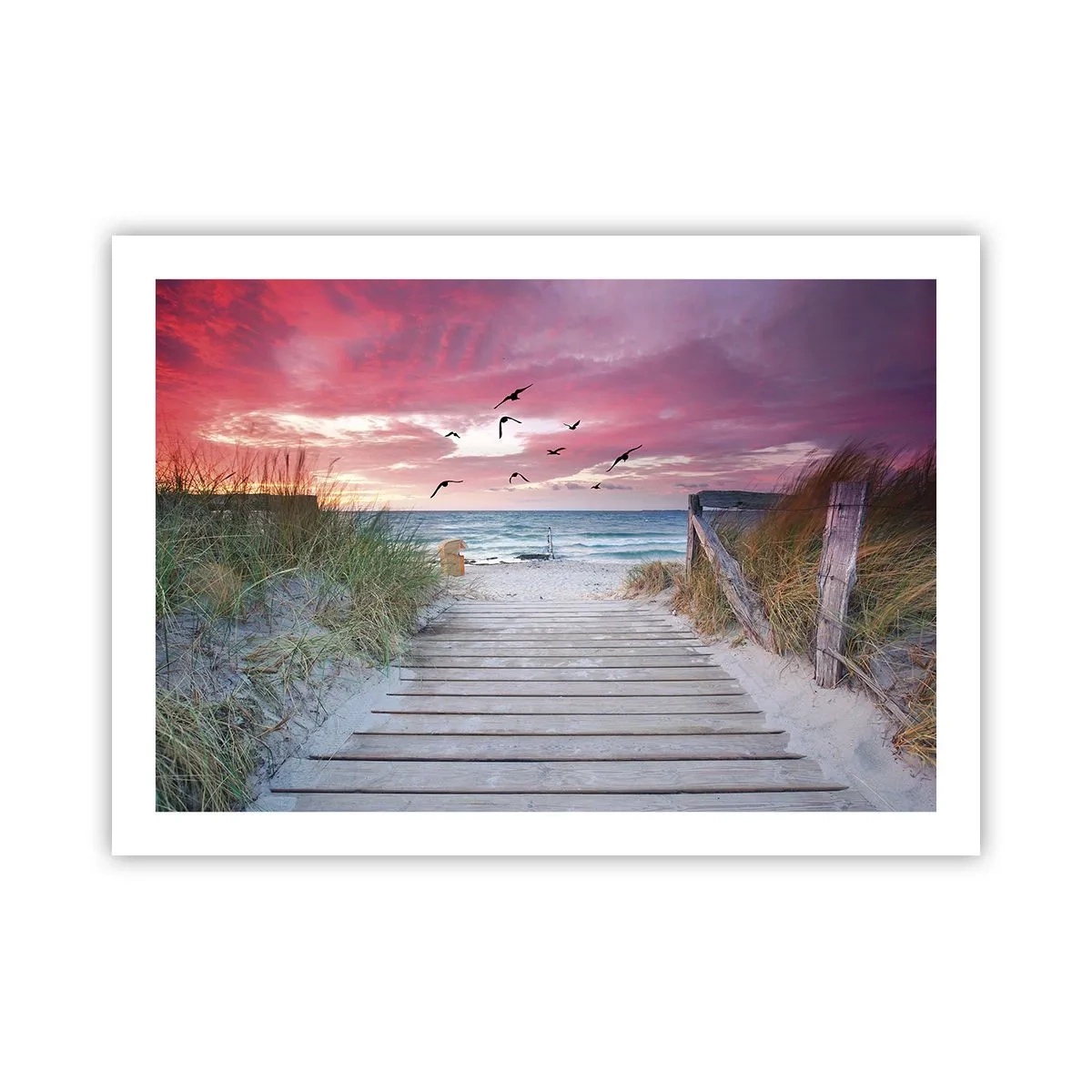 Plakat - Baltisk indtryk - 70x50 cm