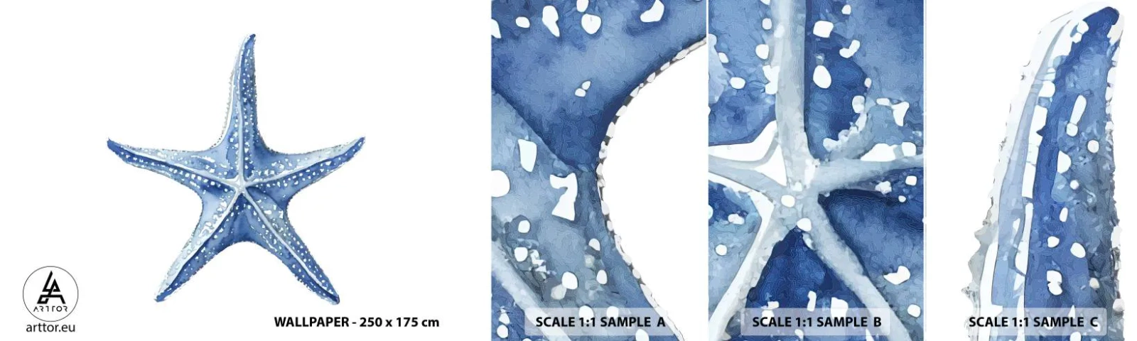 Fototapet Prøve Standard Eco - Havets stjerne - Søstjerne, Ved havet, koralrev - 100x30 cm