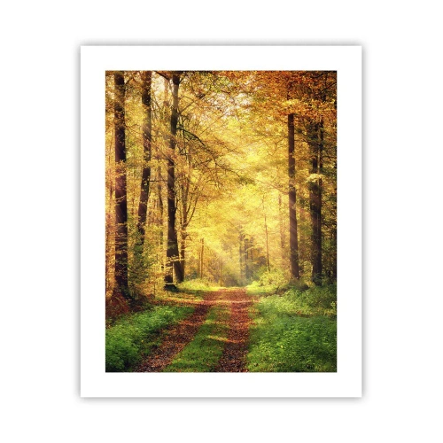 Plakat - Skovgylden stilhed - 40x50 cm