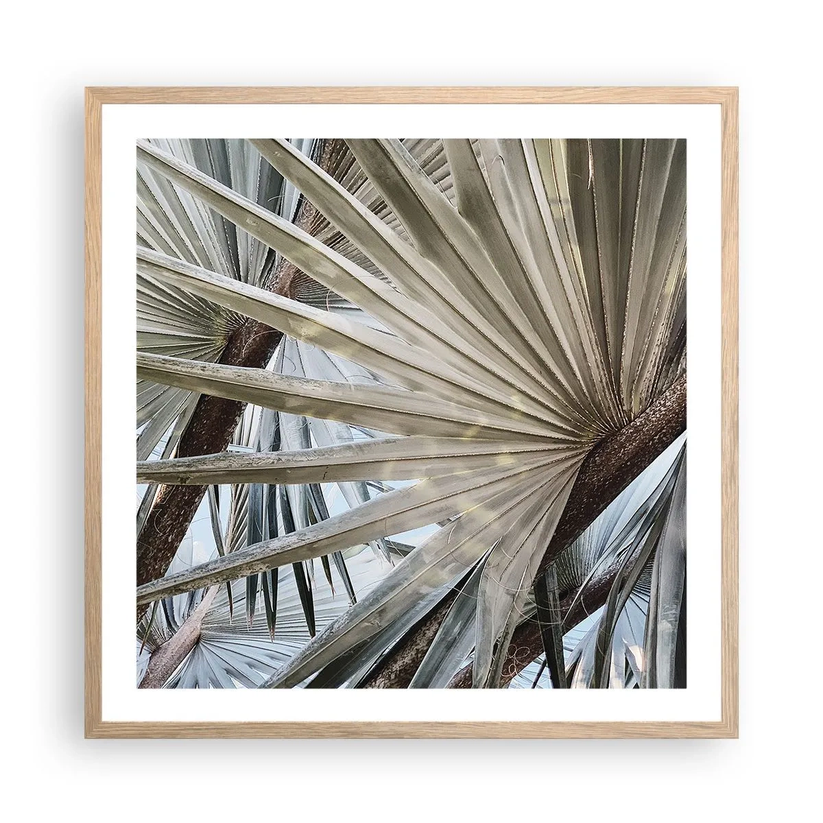 Plakat i ramme af lyst egetræ - Ventilatorer i troperne - 60x60 cm