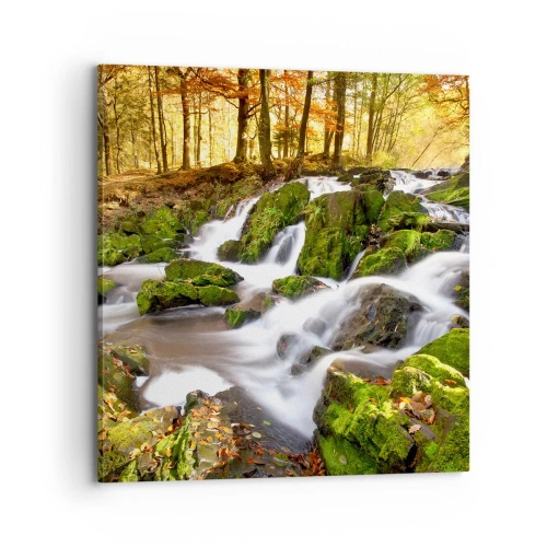 Lærredstryk - Billede på lærred - Bystrøm gennem efterårsskoven - 70x70 cm