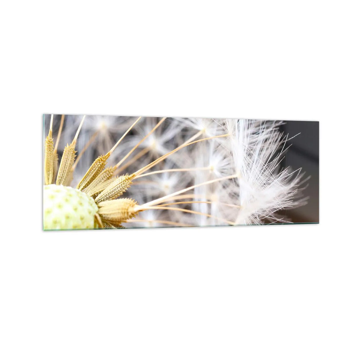 Billede på glas - Lige før afrejse - 140x50 cm