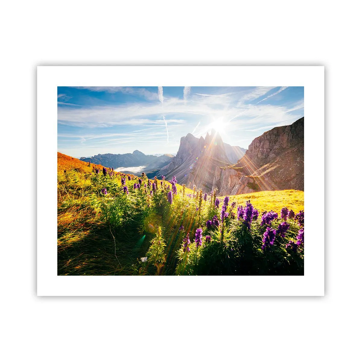 Plakat - Urternes hemmelige liv - 50x40 cm