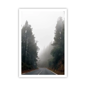 Plakat - En fortælling om en magisk skov - 70x100 cm