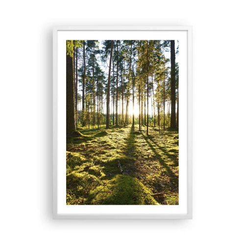 Plakat i hvid ramme - ...Bag de syv skove - 50x70 cm