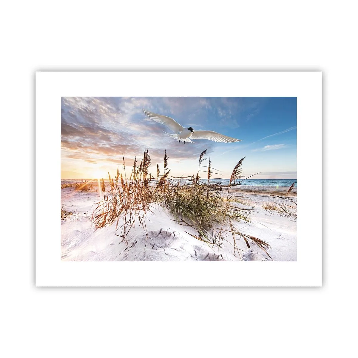 Plakat - Vind fra havet - 40x30 cm