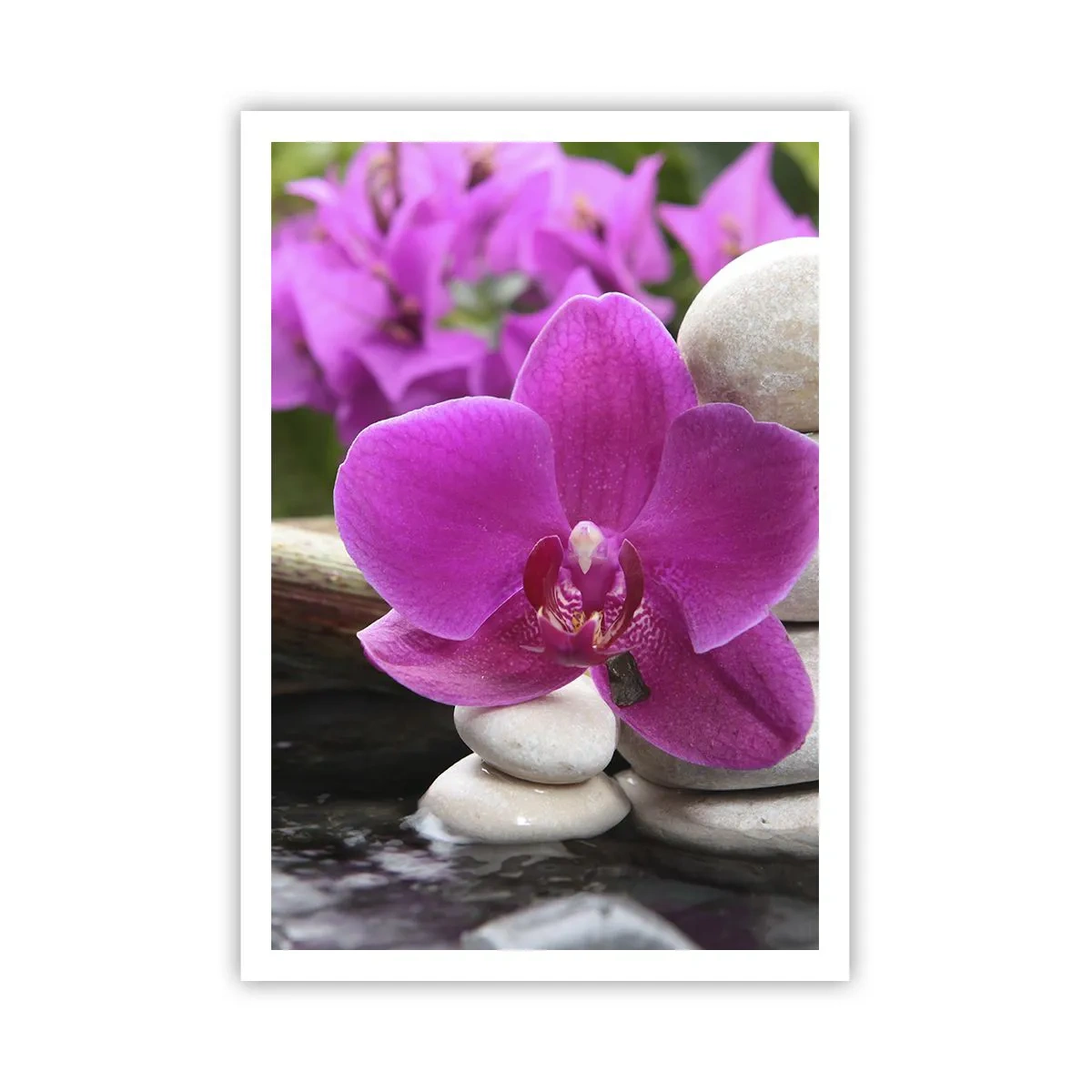 Plakat - Du hviler allerede - 70x100 cm