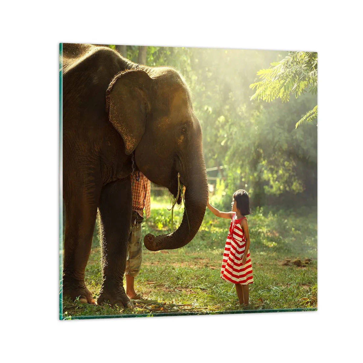 Billede på glas - Venskabets kraft - 50x50 cm