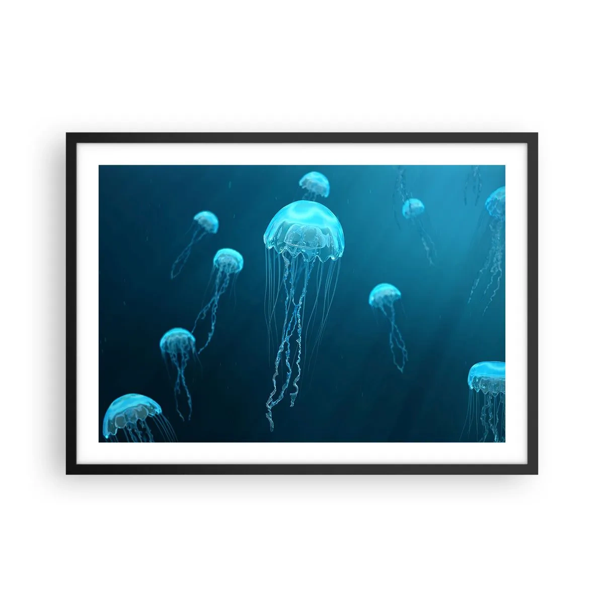 Plakat i sort ramme - Havets dans - 70x50 cm