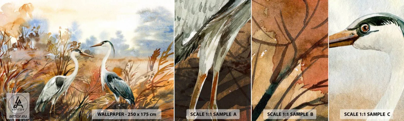 Fototapet Prøve Standard Eco - Hvor skal vi hen om efteråret? - Kran, Fugle, Natur - 100x30 cm