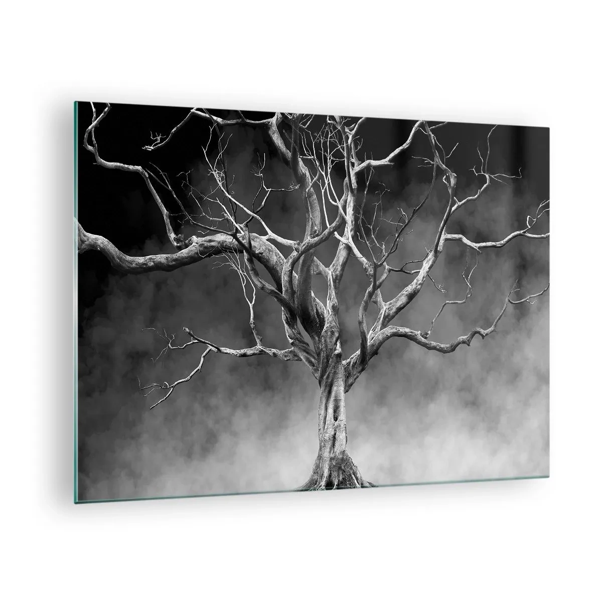 Billede på glas - Sort træ mod tågen - 70x50cm - Primær og hellig - Moderne vægdekoration til stue og soveværelse ARTTOR