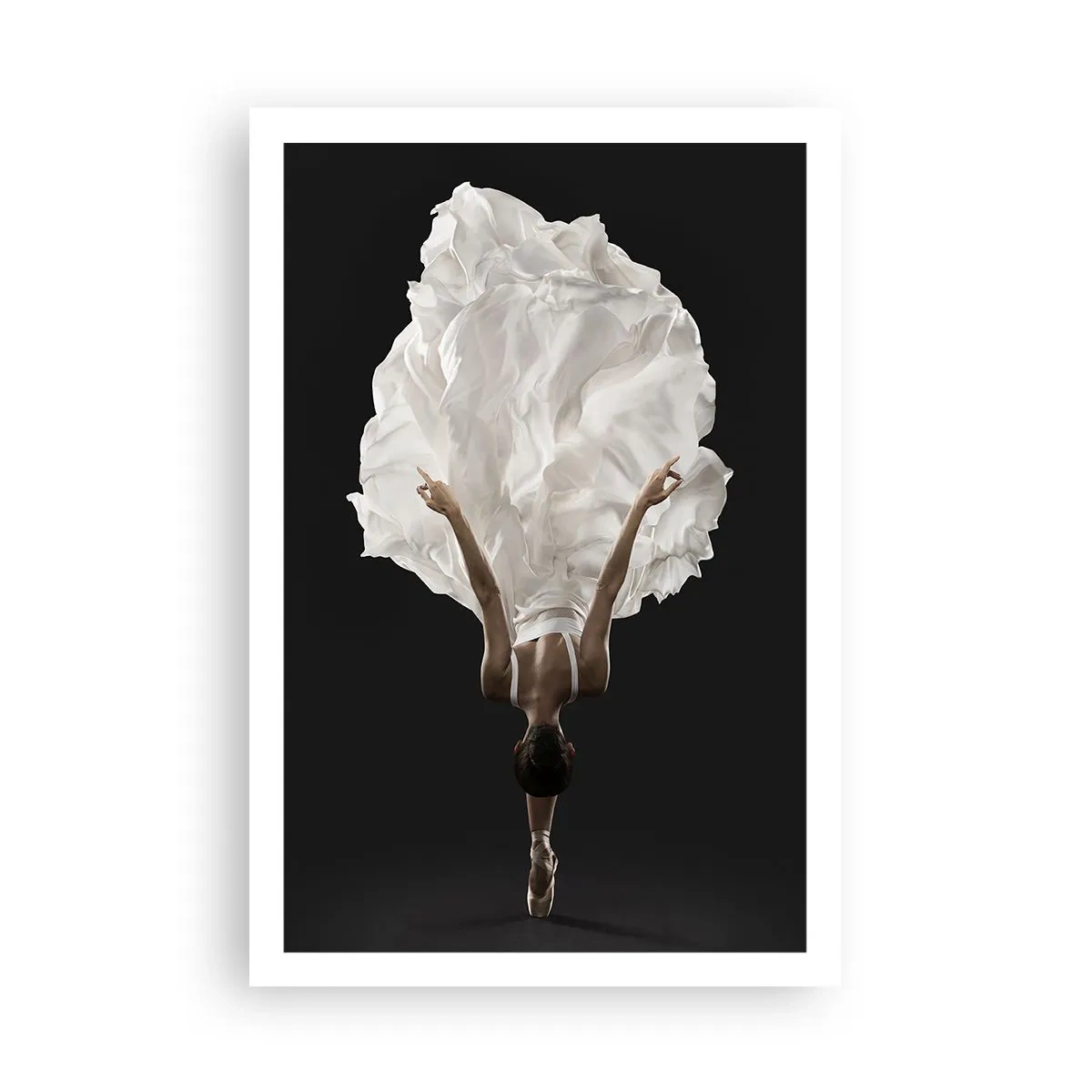 Plakat - Usædvanlige baner - 61x91 cm