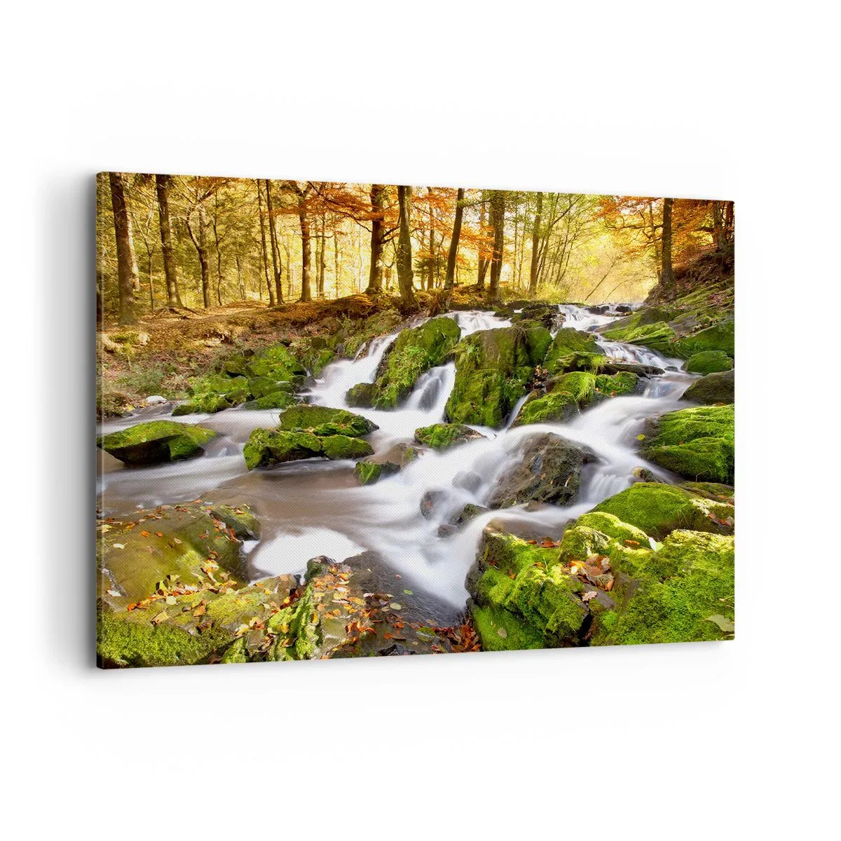 Lærredstryk - Billede på lærred - Bystrøm gennem efterårsskoven - 100x70 cm