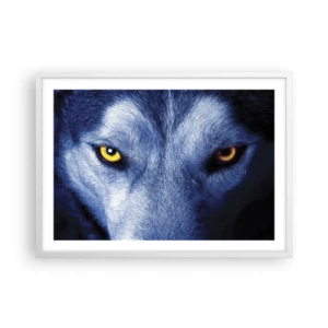 Plakat i hvid ramme - Et hypnotiserende udseende - 70x50 cm