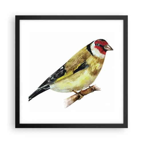 Plakat i sort ramme - Portræt af en fugl - 40x40 cm