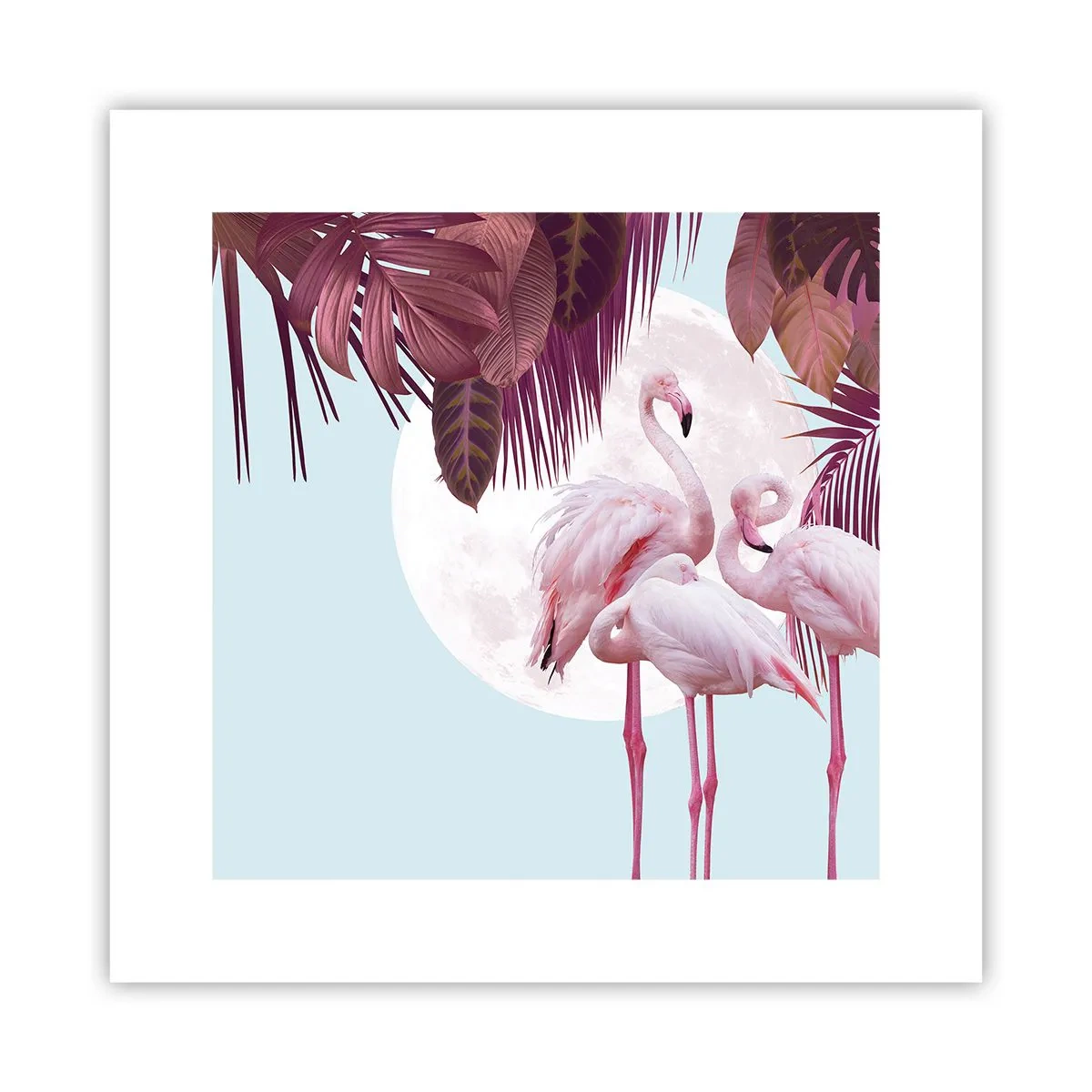 Plakat - Tre fugles ynde - 30x30 cm