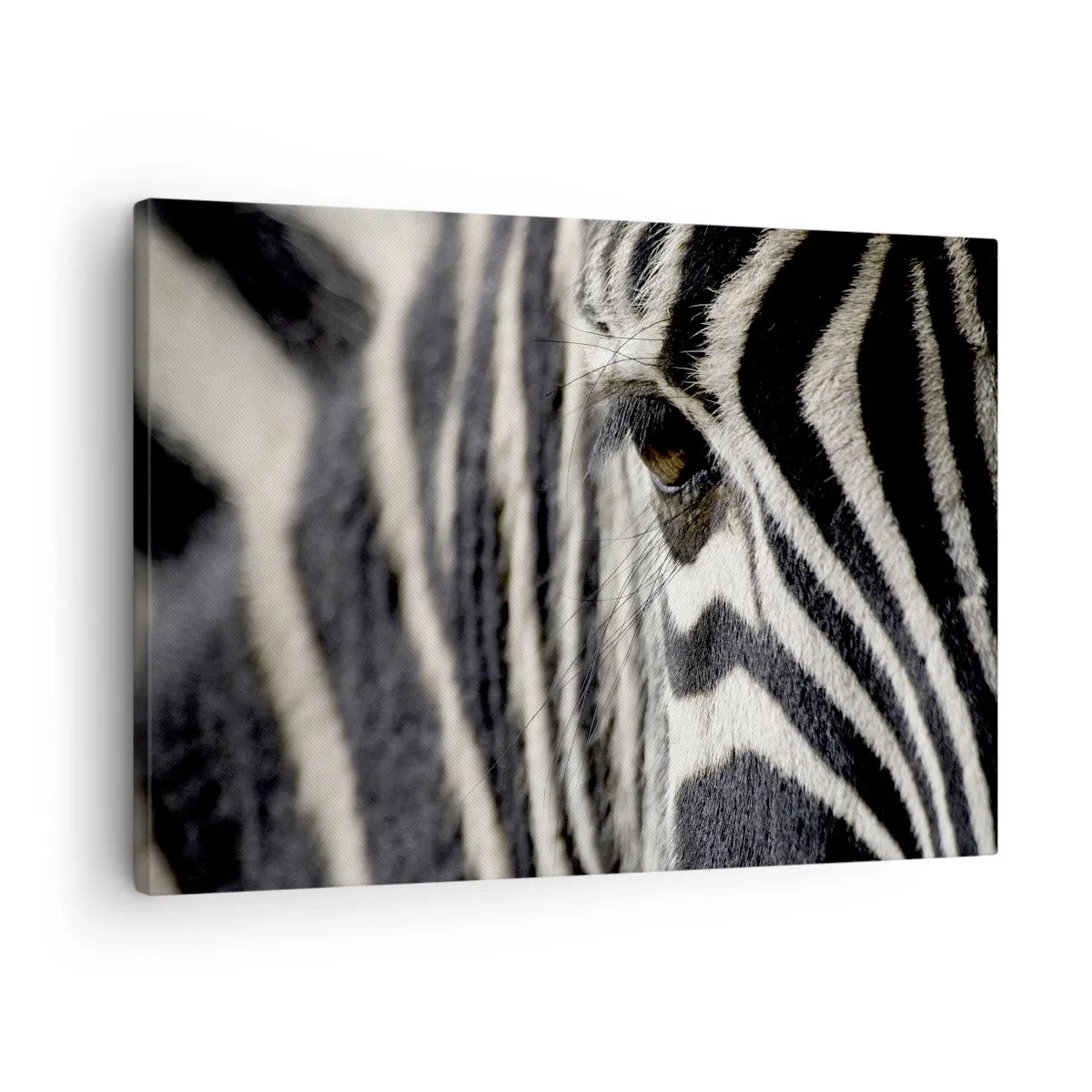 Lærredstryk - Billede på lærred - Nærbillede af et zebraøje med sorte og hvide striber - 70x50cm - Stribet portræt - Moderne vægdekoration til stue og soveværelse ARTTOR
