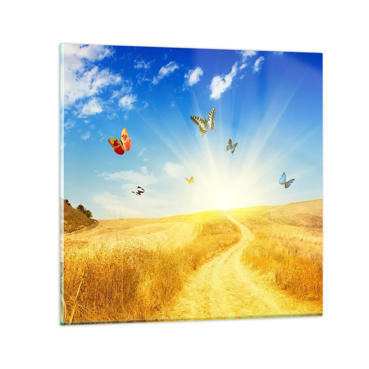 Billede på glas - Og hvordan kan man ikke elske sommeren? - 70x70 cm