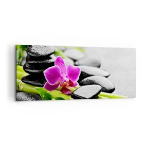 Lærredstryk - Billede på lærred - I en fredelig balance - 100x40 cm