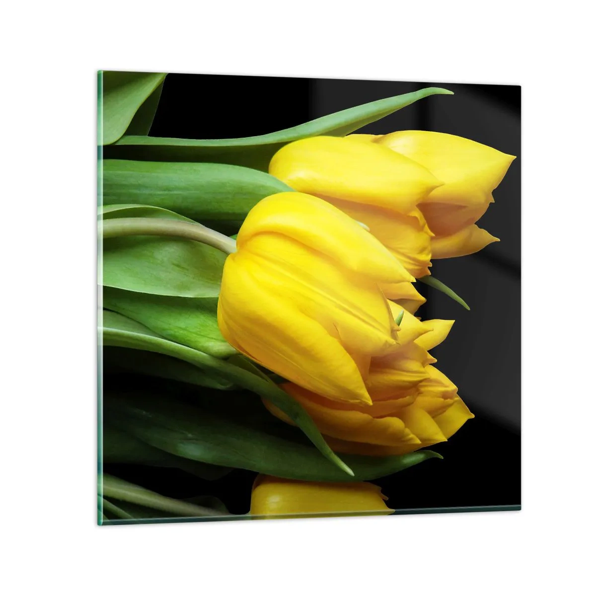 Billede på glas - Opstå fra den rene sol - 40x40 cm