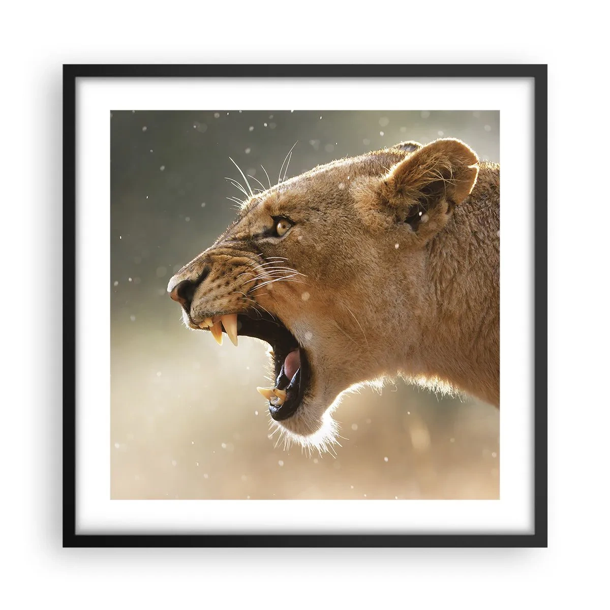 Plakat i sort ramme - Prøv ikke at lytte - 50x50 cm