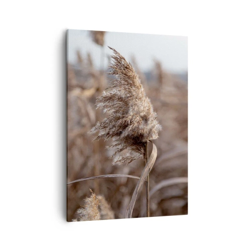 Lærredstryk - Billede på lærred - Tid til at flyve væk med vinden - 50x70 cm