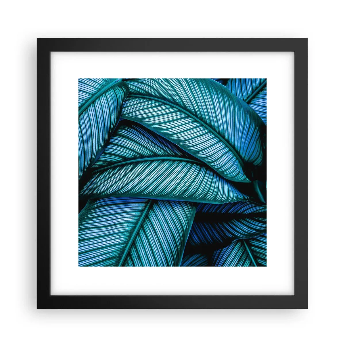 Plakat i sort ramme - Livslinjer - 30x30 cm