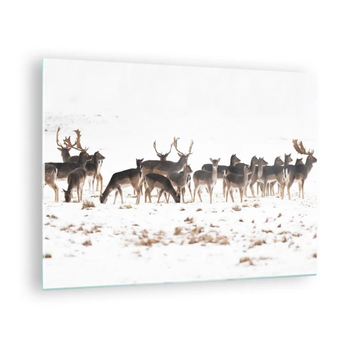 Billede på glas - Et fotografi af en flok hjorte i et snedækket landskab - 70x50cm - Er det snart jul? - Moderne vægdekoration til stue og soveværelse ARTTOR