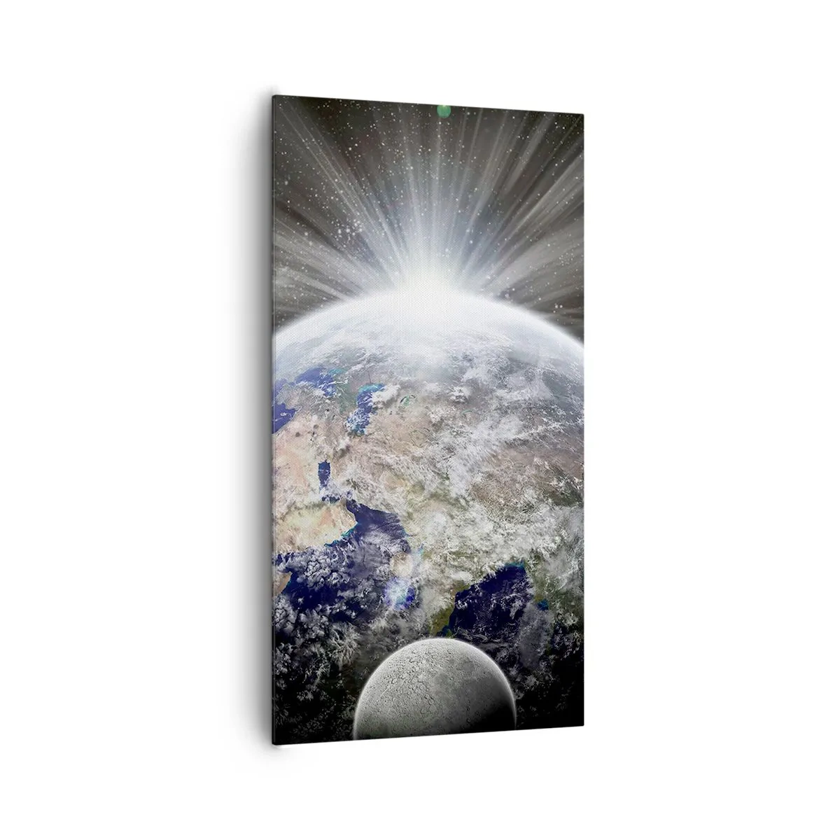 Lærredstryk - Billede på lærred - I fuldt blus - 65x120 cm