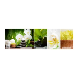 Prøve Fototapet Selvklæbende Deluxe Sticker - Duftende, blomstret, delikat touch - Blomster, Orkidé, Orkidé - 100x30 cm
