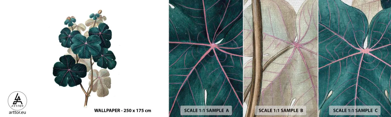 Prøve Fototapet Premium Canvas - Fra et gammelt herbarium - Plante, Blade, Botanik - 100x30 cm