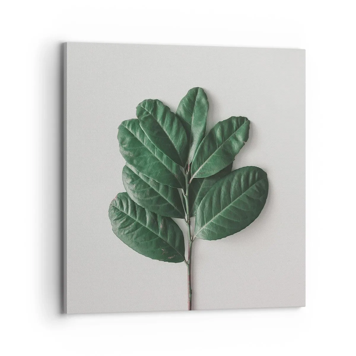 Lærredstryk - Billede på lærred - Tegning af selve naturen - 70x70 cm